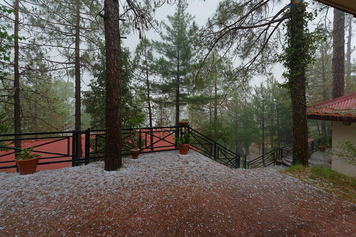 Arcadian Blue Pines Hotel Murree Exterior photo