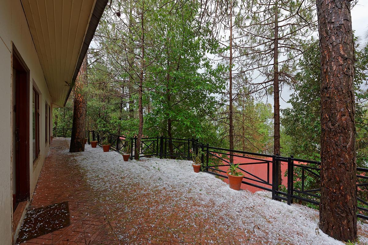Arcadian Blue Pines Hotel Murree Exterior photo